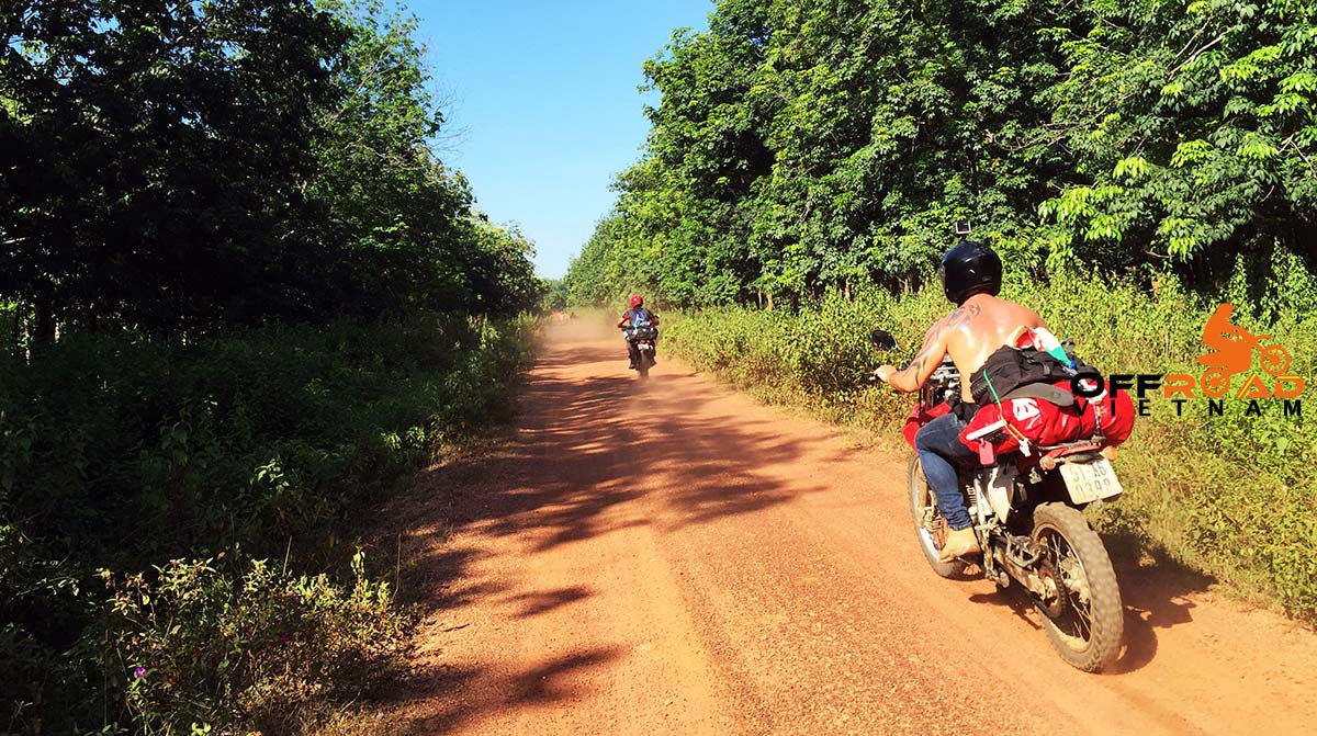 Motorbike trips through Vietnam from Hanoi to Northern Vietnam along the border with Laos and Cambodia along the historical Ho Chi Minh trail.