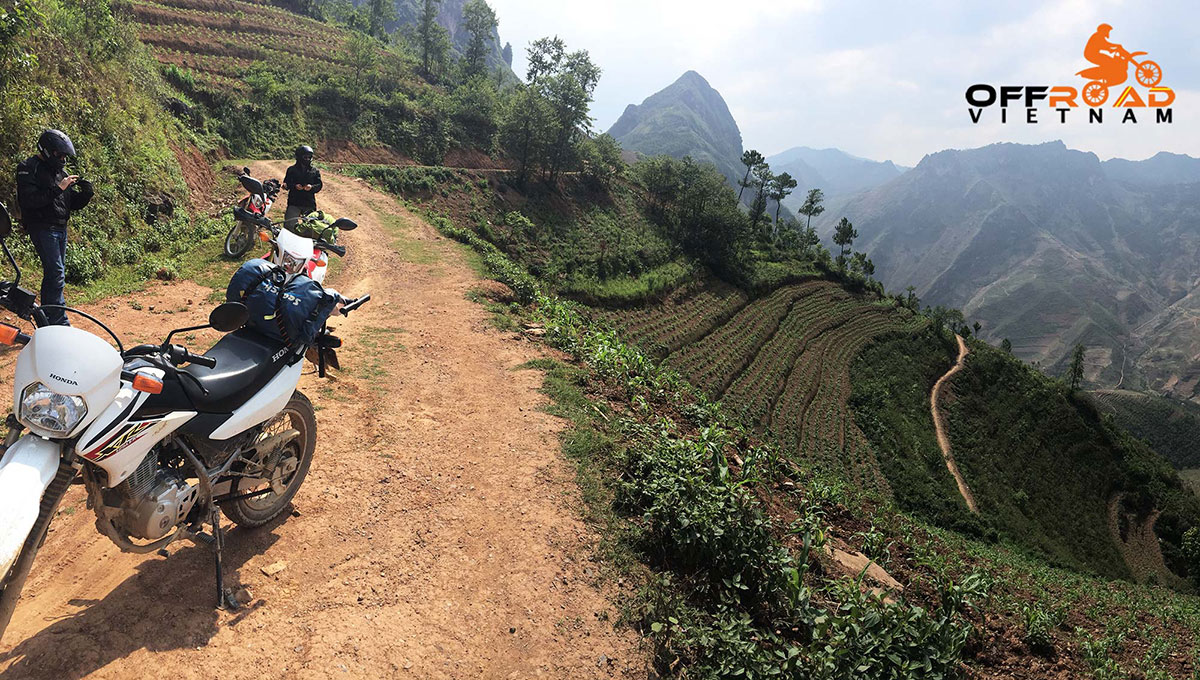 Vietnam Motorbike Motorcycle Tours - Northwest Vietnam Dirt Bike Tour: Northwest Vietnam terrace rice field near Sapa.