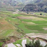 Terrace rice fields on the way up to Sapa through Nghia Lo and Than Uyen