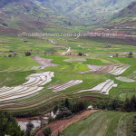 Terrace rice paddies on the way up to Sapa through Nghia Lo and Than Uyen